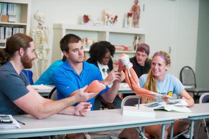 学生 inspecting a skeleton with muscle structure.